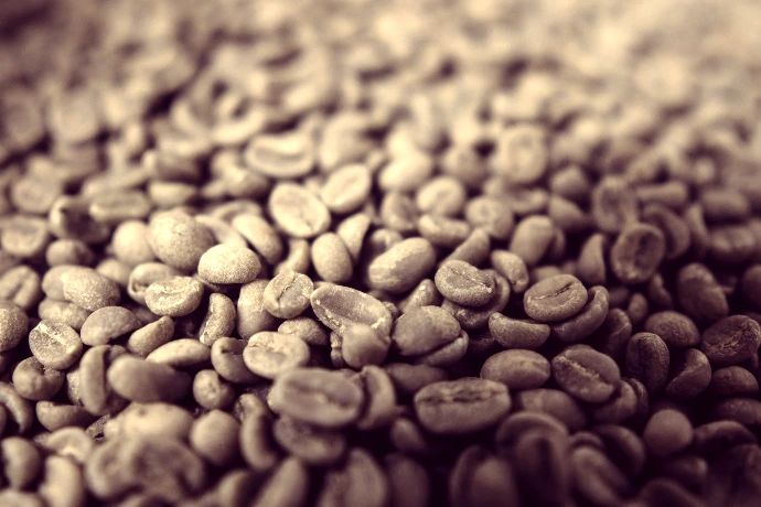 coffee beans close-up photography